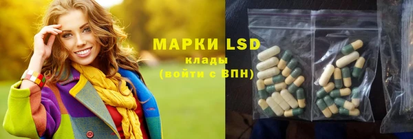 сатива Аркадак