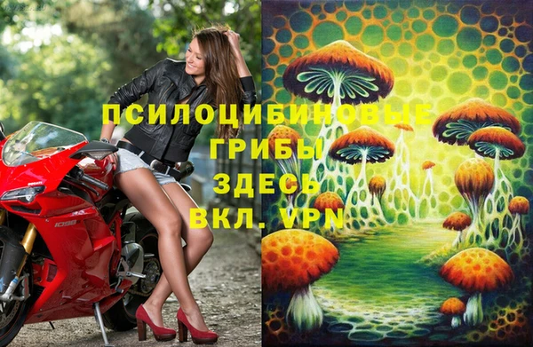 сатива Аркадак