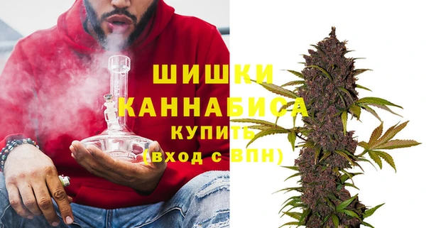 сатива Аркадак