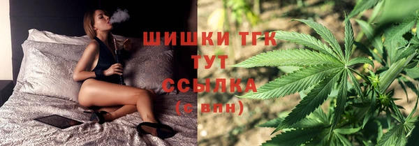 сатива Аркадак