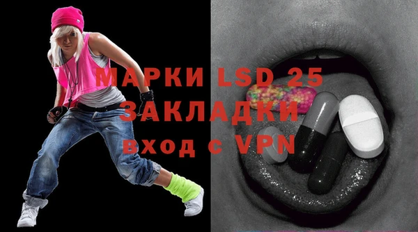сатива Аркадак